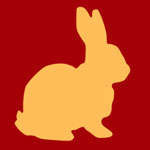 Year of the Rabbit