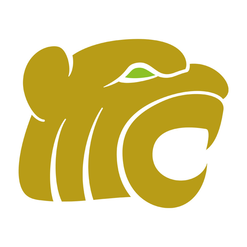 MCC Lion Logo