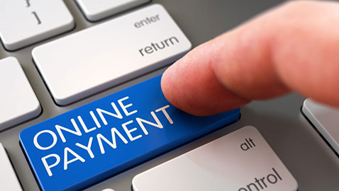Online Payment button