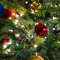 christmas-tree-thumb