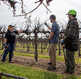 Agriculture Instructor 